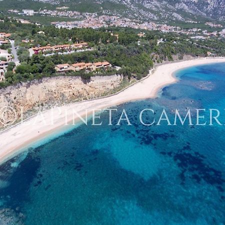 Casa Vacanza Gelsomino Cala Gonone Zewnętrze zdjęcie